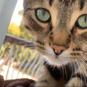 Meet your Posher, Matthew